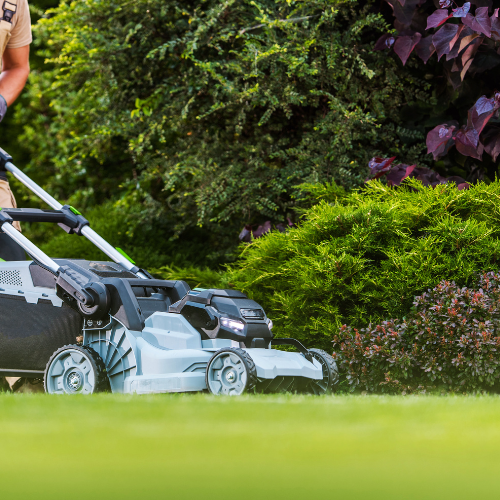 A push mower cutting grass on a clear day.